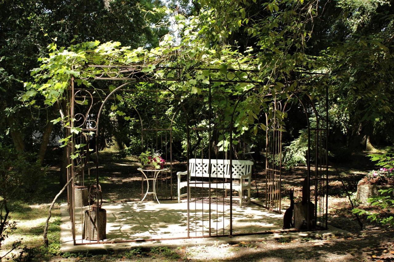 เล รีฟ เดอ ลา ทรอน Bed & Breakfast Mer ภายนอก รูปภาพ